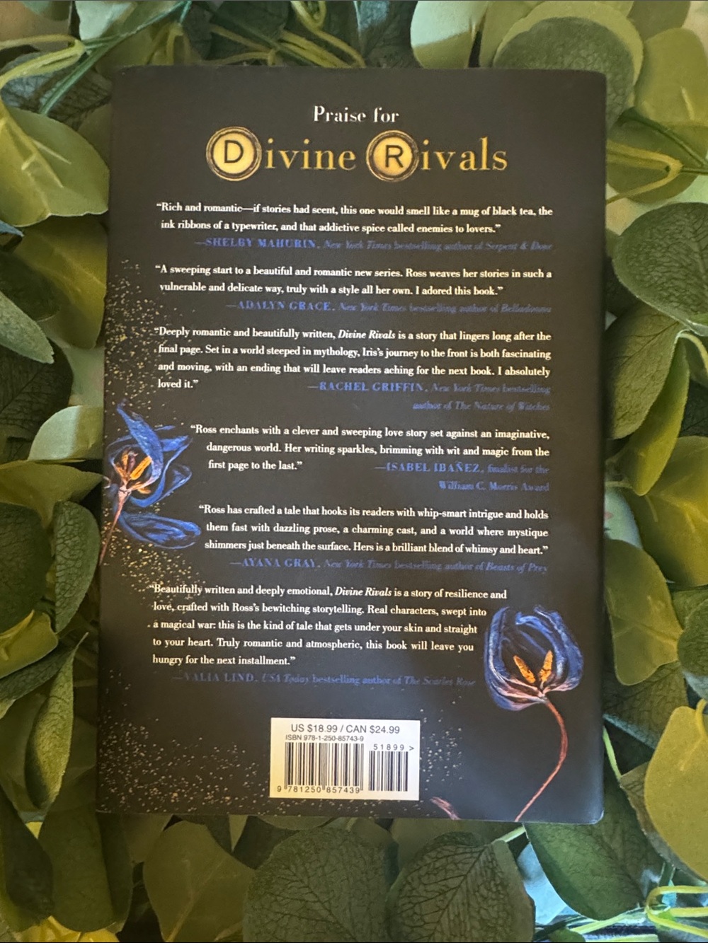 Divine Rivals by Rebecca Ross - Picture 2 of 2
